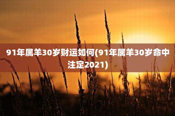 91年属羊30岁财运如何(91年属羊30岁命中注定2021)