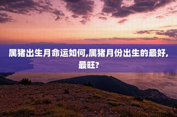 属猪出生月命运如何,属猪月份出生的最好,最旺?