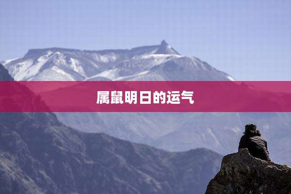 属鼠明日的运气