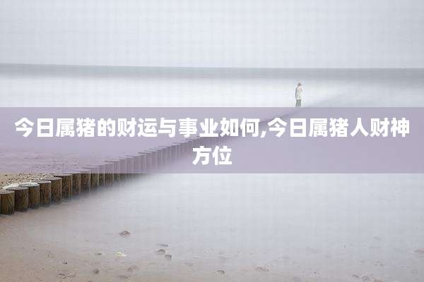 今日属猪的财运与事业如何,今日属猪人财神方位