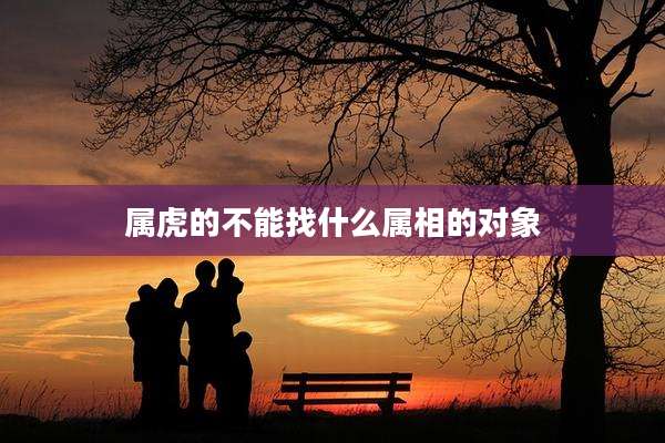 属虎的不能找什么属相的对象