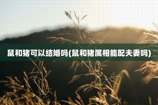 鼠和猪可以结婚吗(鼠和猪属相能配夫妻吗)