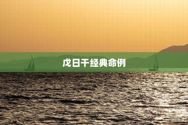 戊日干经典命例