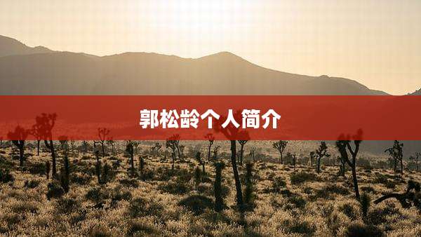 郭松龄个人简介