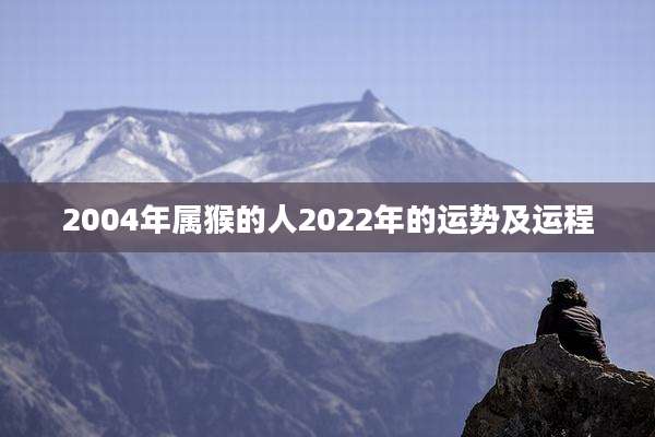 2004年属猴的人2022年的运势及运程