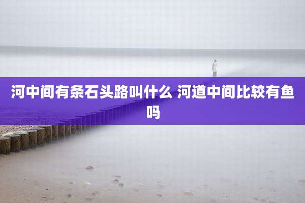 河中间有条石头路叫什么 河道中间比较有鱼吗