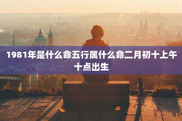 1981年是什么命五行属什么命二月初十上午十点出生