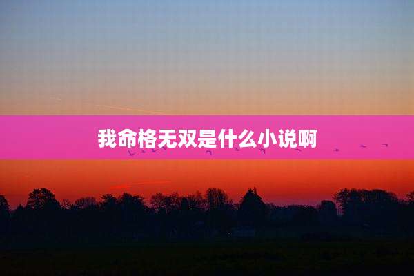 我命格无双是什么小说啊