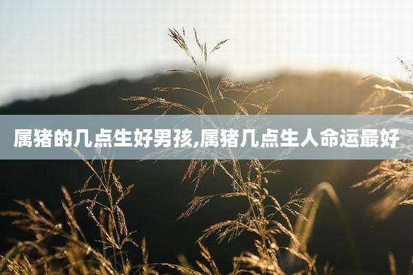 属猪的几点生好男孩,属猪几点生人命运最好