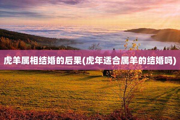 虎羊属相结婚的后果(虎年适合属羊的结婚吗)