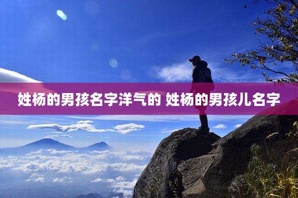 姓杨的男孩名字洋气的 姓杨的男孩儿名字