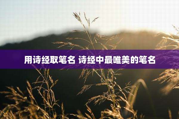 用诗经取笔名 诗经中最唯美的笔名