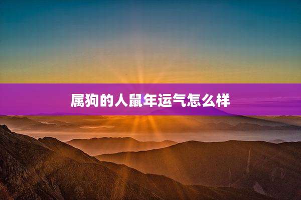 属狗的人鼠年运气怎么样