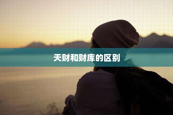 天财和财库的区别