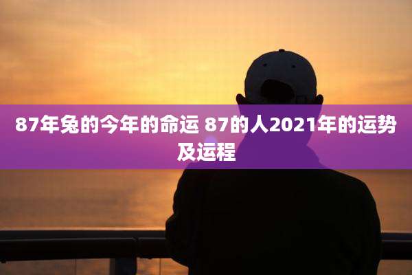 87年兔的今年的命运 87的人2021年的运势及运程
