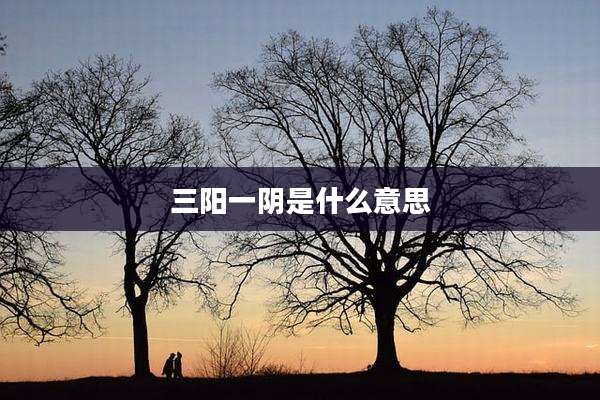 三阳一阴是什么意思