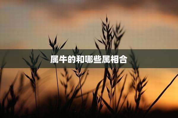 属牛的和哪些属相合