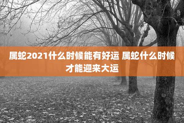 属蛇2021什么时候能有好运 属蛇什么时候才能迎来大运