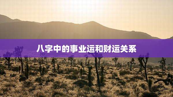 八字中的事业运和财运关系