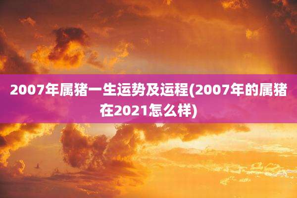2007年属猪一生运势及运程(2007年的属猪在2021怎么样)