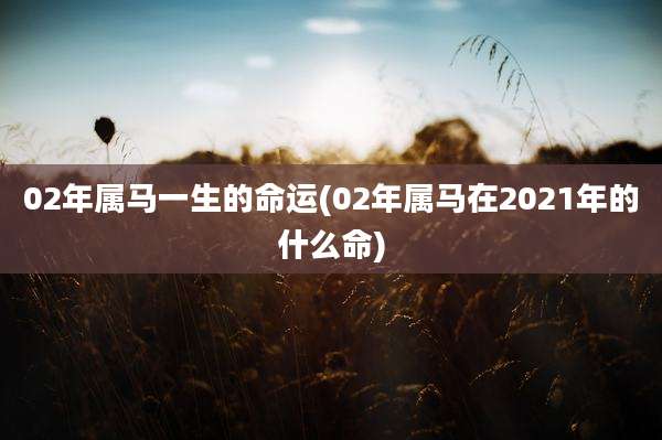 02年属马一生的命运(02年属马在2021年的什么命)