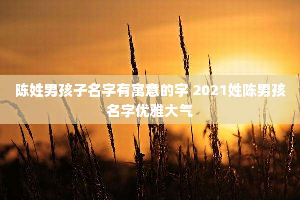 陈姓男孩子名字有寓意的字 2021姓陈男孩名字优雅大气