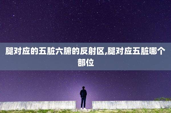腿对应的五脏六腑的反射区,腿对应五脏哪个部位