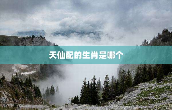 天仙配的生肖是哪个