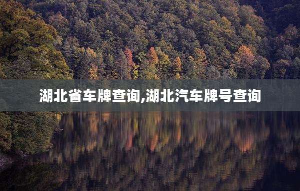 湖北省车牌查询,湖北汽车牌号查询