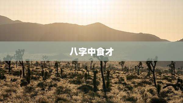 八字中食才