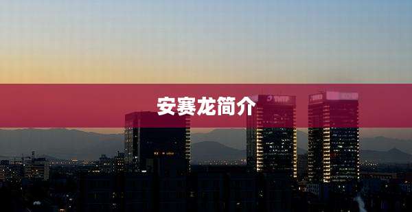 安赛龙简介