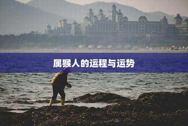 属猴人的运程与运势