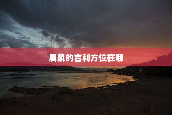 属鼠的吉利方位在哪