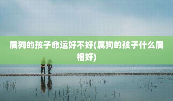 属狗的孩子命运好不好(属狗的孩子什么属相好)