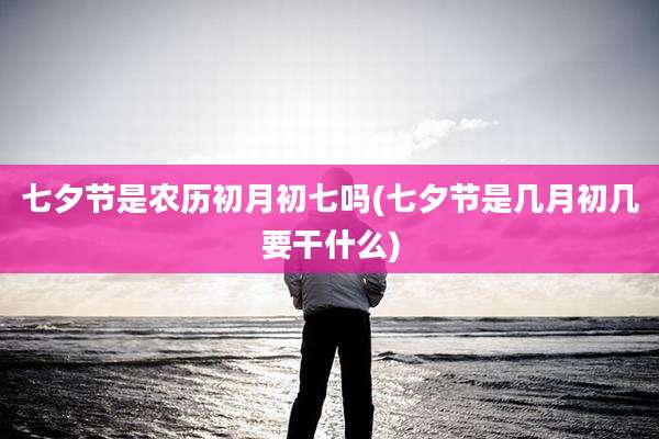七夕节是农历初月初七吗(七夕节是几月初几要干什么)