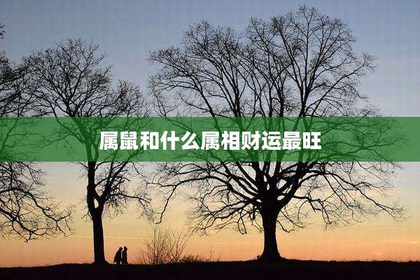 属鼠和什么属相财运最旺