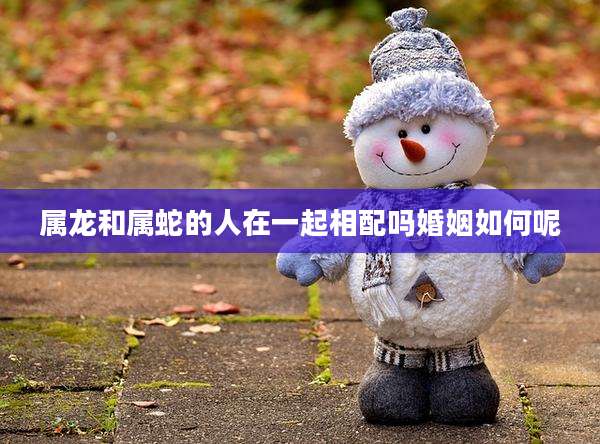 属龙和属蛇的人在一起相配吗婚姻如何呢