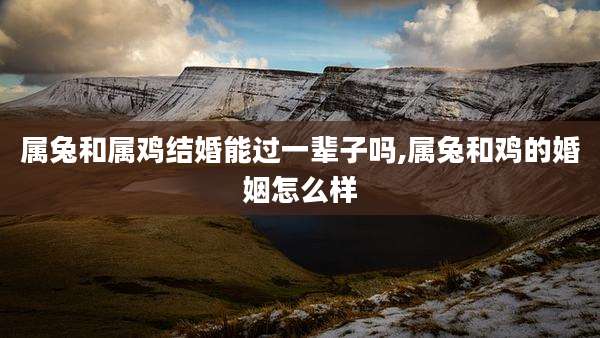 属兔和属鸡结婚能过一辈子吗,属兔和鸡的婚姻怎么样