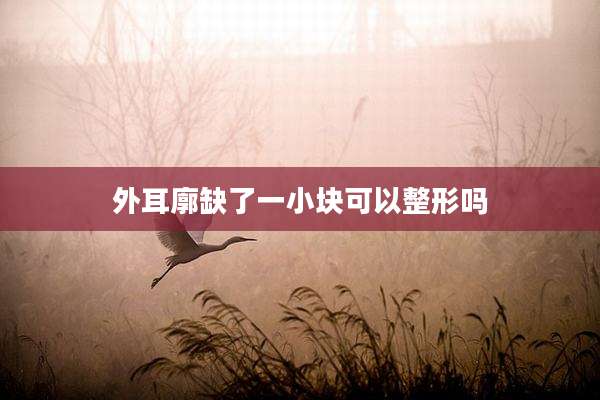 外耳廓缺了一小块可以整形吗