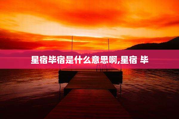 星宿毕宿是什么意思啊,星宿 毕