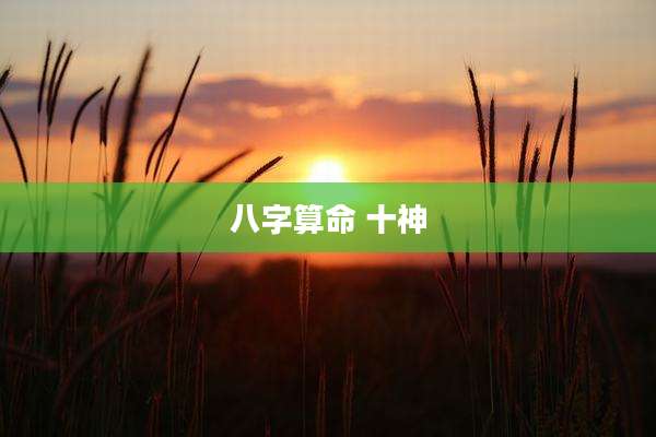 八字算命 十神