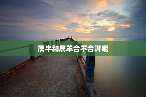 属牛和属羊合不合财呢