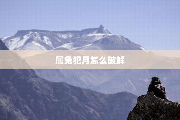 属兔犯月怎么破解