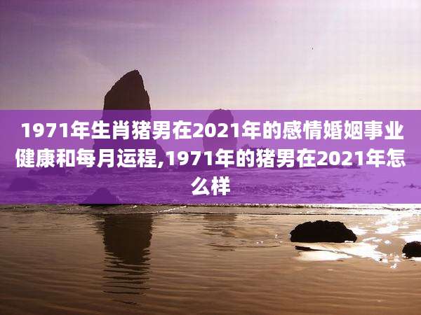 1971年生肖猪男在2021年的感情婚姻事业健康和每月运程,1971年的猪男在2021年怎么样