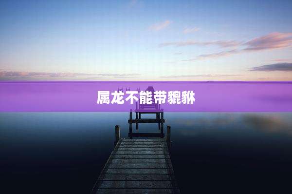 属龙不能带貔貅