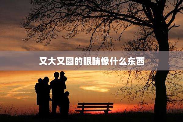 又大又圆的眼睛像什么东西