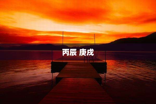 丙辰 庚戌