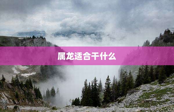 属龙适合干什么
