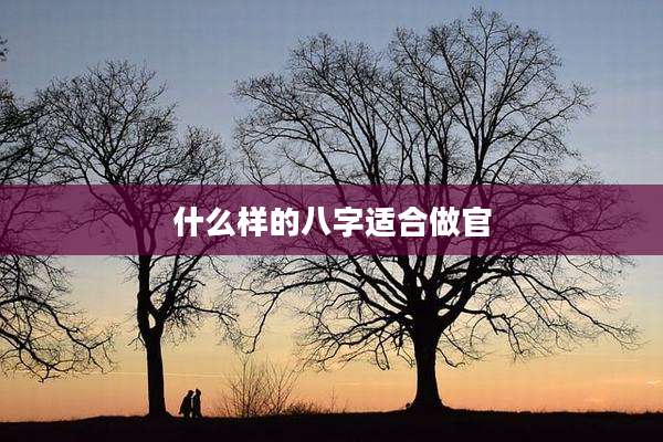 什么样的八字适合做官