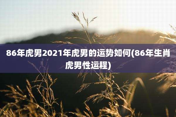 86年虎男2021年虎男的运势如何(86年生肖虎男性运程)